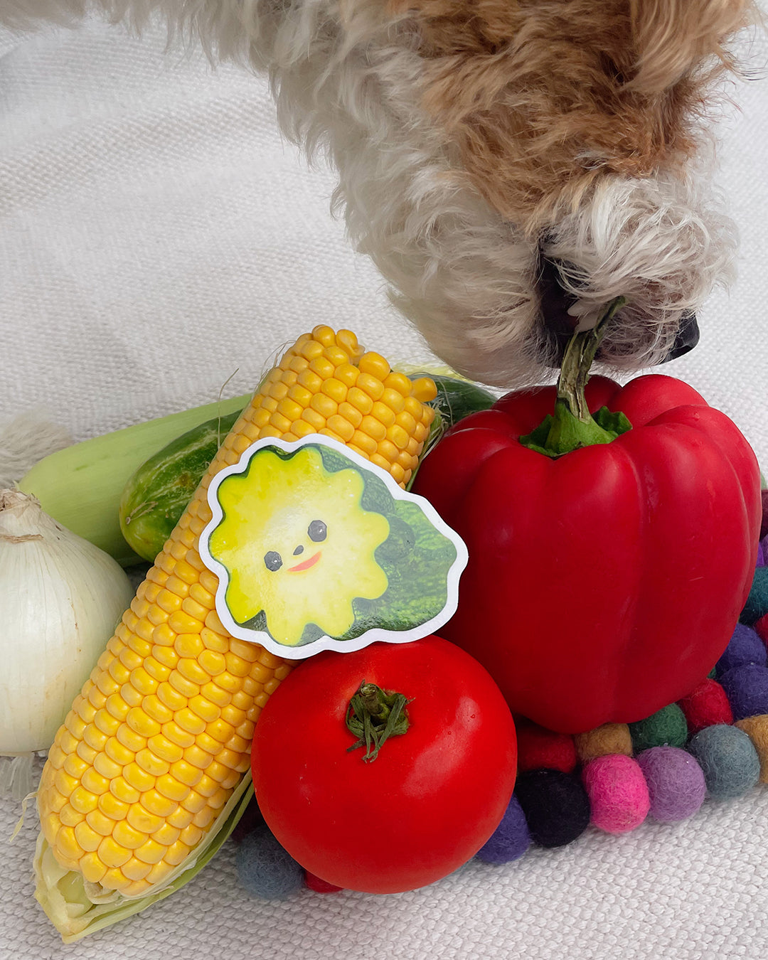 ZUCCHINI sticker by XUH