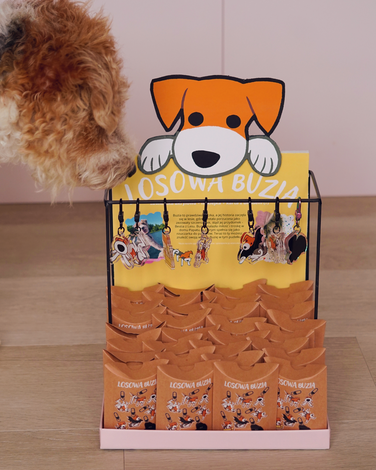 LOSOWA BUZIA blind box by JAVVIE