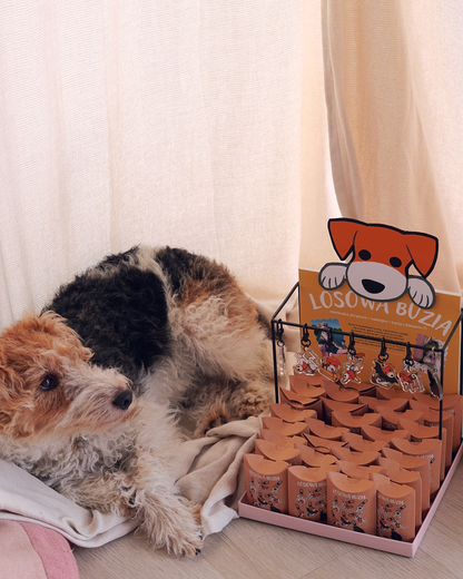 LOSOWA BUZIA blind box by JAVVIE