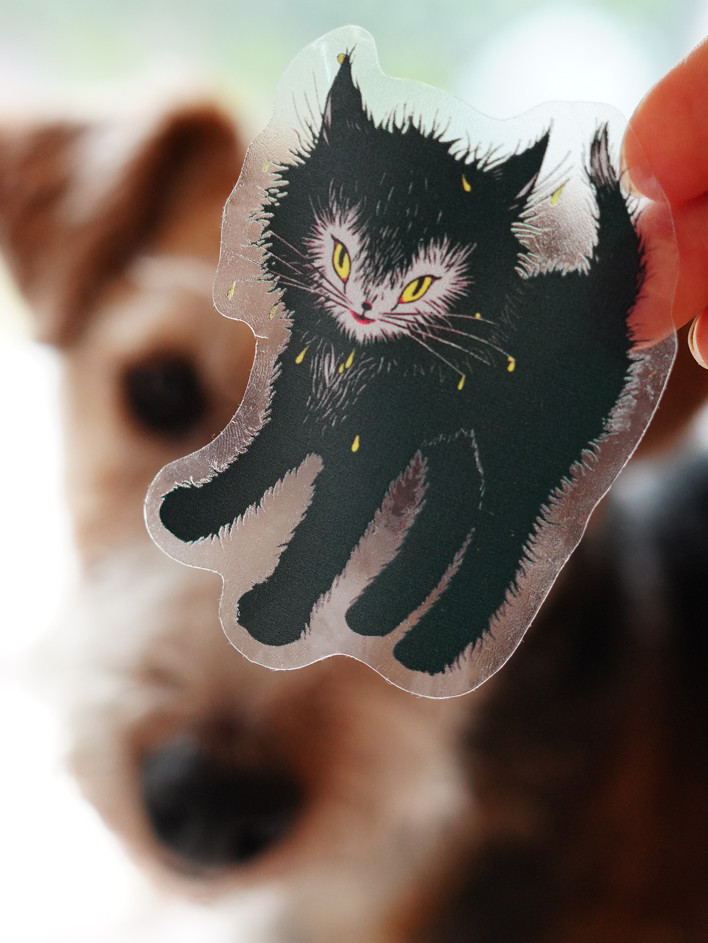 WET CAT 2.0 sticker by XUH